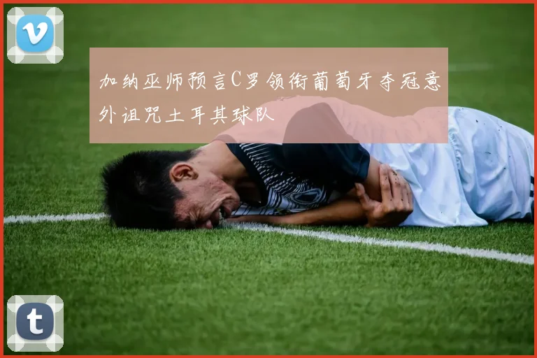 加纳巫师预言C罗领衔葡萄牙夺冠意外诅咒土耳其球队
